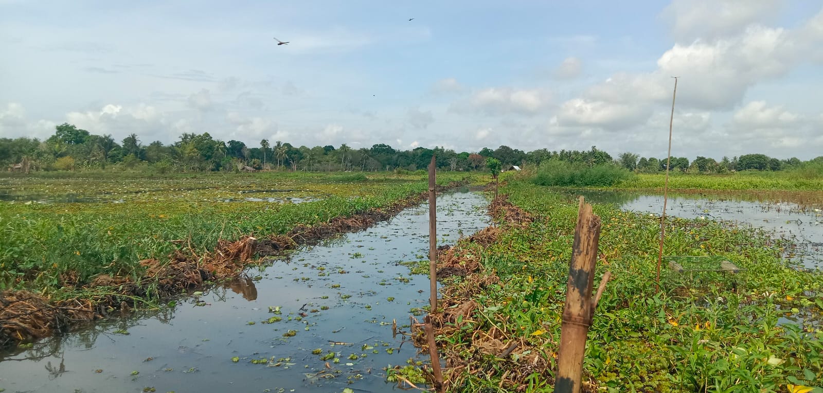 Pembersihan  Alur sungai di padang Tatah